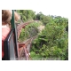 294_Driving Creek Railway.jpg